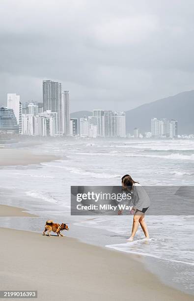 young woman walking her dog along the beach near a coastal city skyline with tall buildings and mountains. - tique brune du chien photos et images de collection