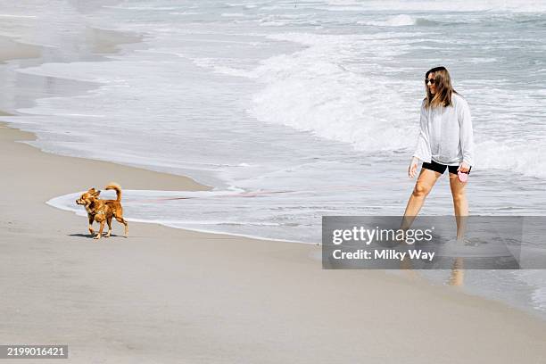 young woman in white walking barefoot along the shoreline with small brown dog. ocean waves gently touch the sandy beach. - zecca bruna del cane foto e immagini stock