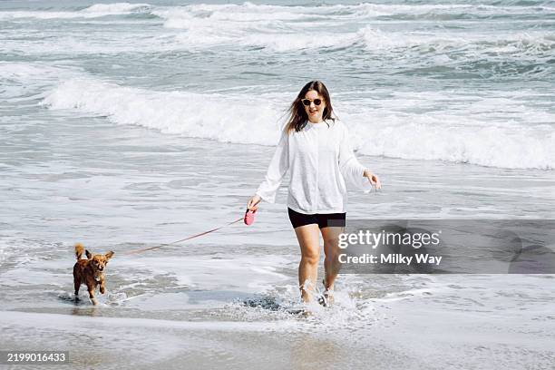 young сaucasian woman walking her small brown dog on a beach. she wears sunglasses, white sweatshirt and black shorts. waves crash in the background. bright, natural colors. - zecca bruna del cane foto e immagini stock