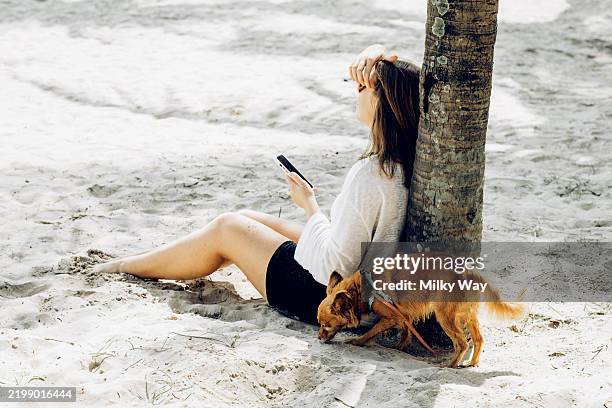 woman seated in the sand resting against a palm tree, holding a phone while a dog sniffs the ground. - tique brune du chien photos et images de collection