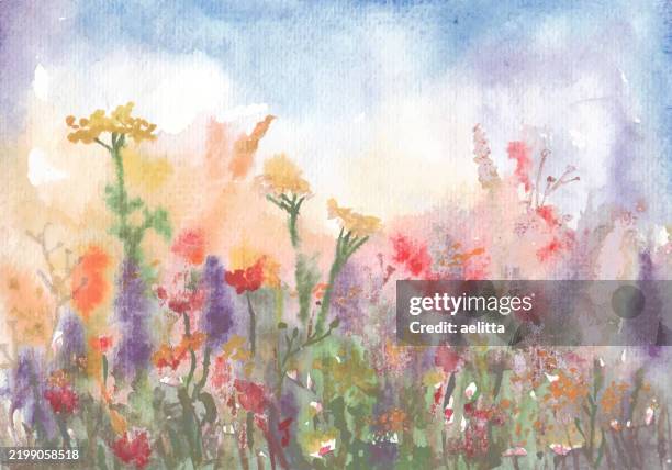 vector illustration of an aquarelle - beautiful flowers, blue sky, clouds ... - watercolor orange flower stock illustrations