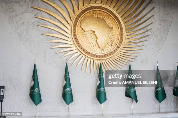 General view of the logo and flags the African Union during the 38th African Union Summit, where leaders will elect a new head of the AU Commission,...