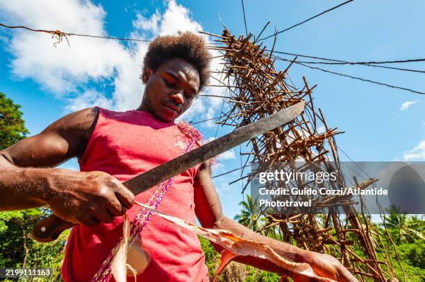 Naghol Ritual 21 Nagol Stock Photos, High-Res Pictures, and Images - Getty Images