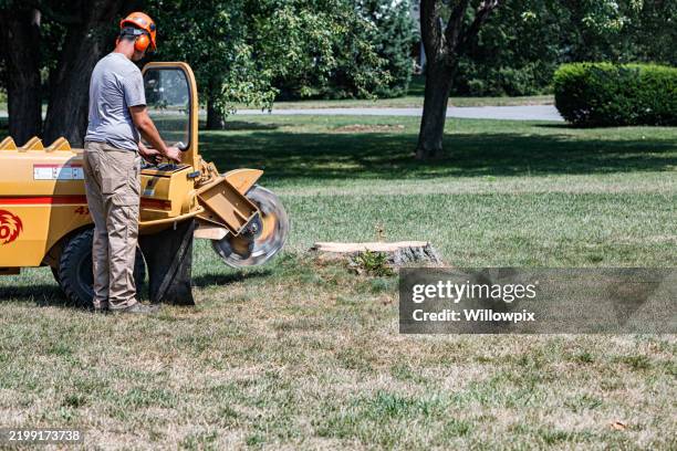 worker wearing safety equipment using stump grinder machine - tree stump stock pictures, royalty-free photos & images
