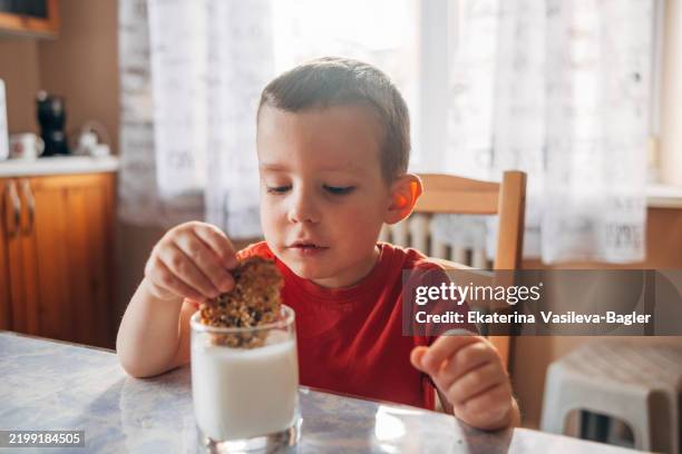 child boy eats homemade oatmeal cookies dipping it into a glass - flapjack stock pictures, royalty-free photos & images