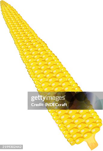 Sweet corn Sweet corn