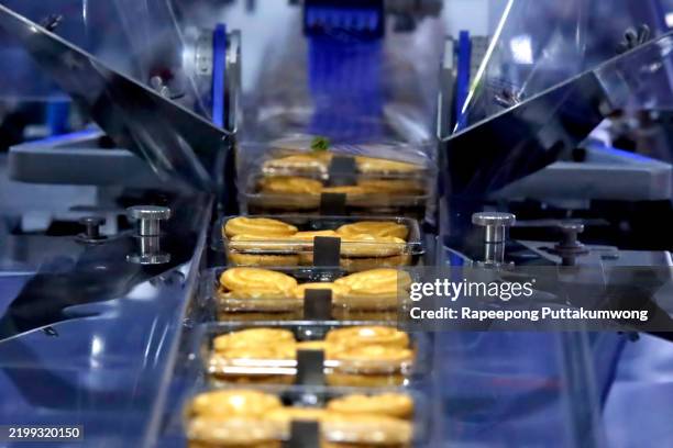 controlling the work of huge conveyor machine producing cookie at the confectionary plant. cookie production line. innovative biscuit production - automatisch stock-fotos und bilder