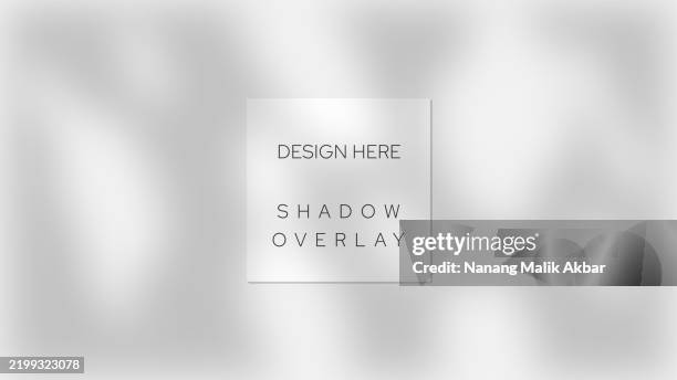 tree and leaf shadow overlay design template. shadow overlay effect mockup for design template. - tree shadow wall stock illustrations