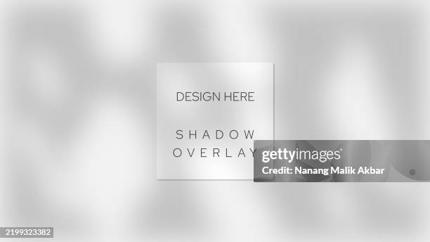 tree and leaf shadow overlay design template. shadow overlay effect mockup for design template. - tree shadow wall stock illustrations
