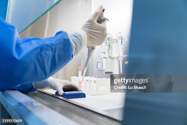 scientists conduct scientific experiments in the biosafety cabinet of the laboratory . - biotechnology stock pictures, royalty-free photos & images