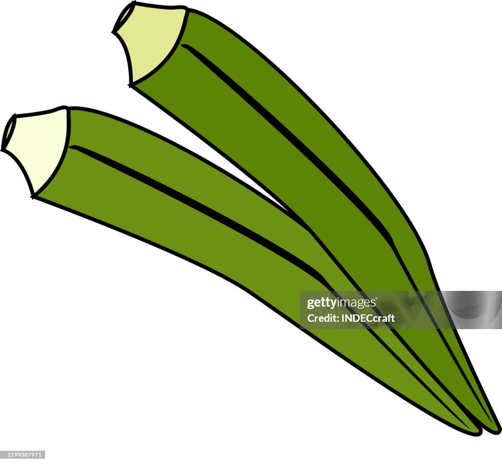 Okra