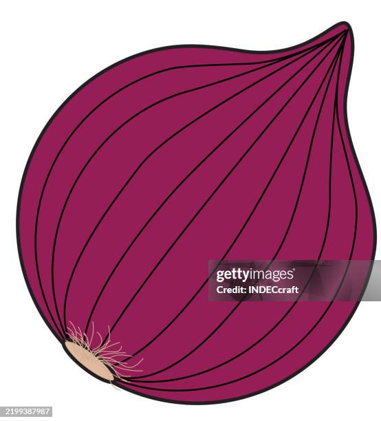 onion - french onion soup stock illustrations