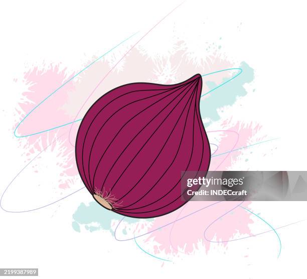 onion - french onion soup stock illustrations