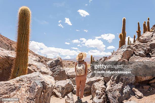 frau, die mit rucksack und strohhut durch wüstenlandschaft wandert - atacama stock-fotos und bilder