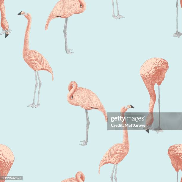 tropical flamingo seamless pattern - flamingo background stock illustrations