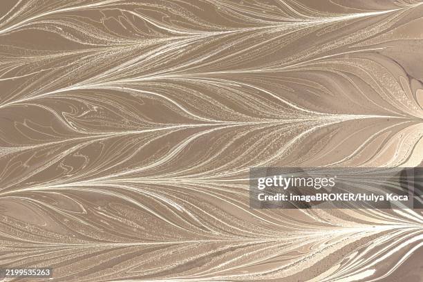 ebru marble conch effect surface pattern design for print - conch stock illustrations