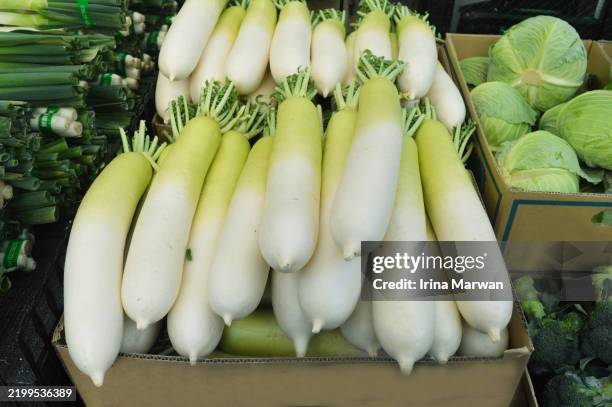 stack of vegetable in grocery store, white radish, daikon - daikon stock pictures, royalty-free photos & images