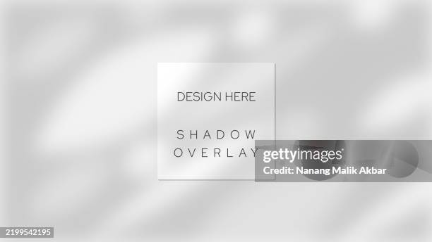 tree and leaf shadow overlay design template. shadow overlay effect mockup for design template. - tree shadow wall stock illustrations