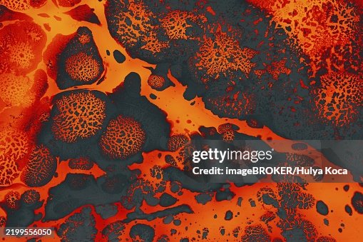 Ebru marble conch effect surface pattern design for print Ebru marble conch effect surface pattern design for print