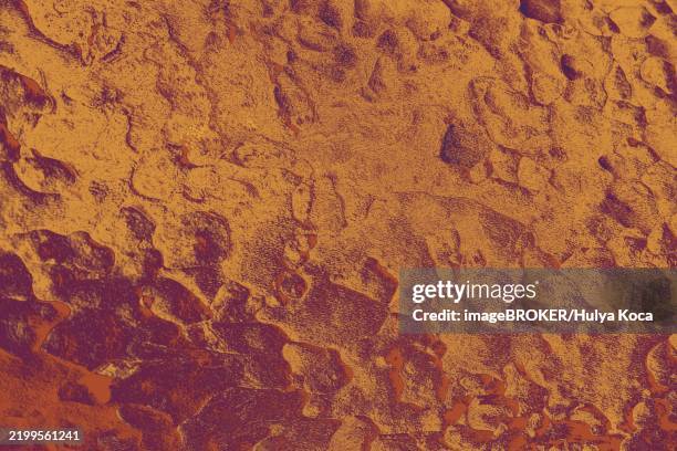 close up tree bark texture as a wooden background - tree bark texture background stock illustrations