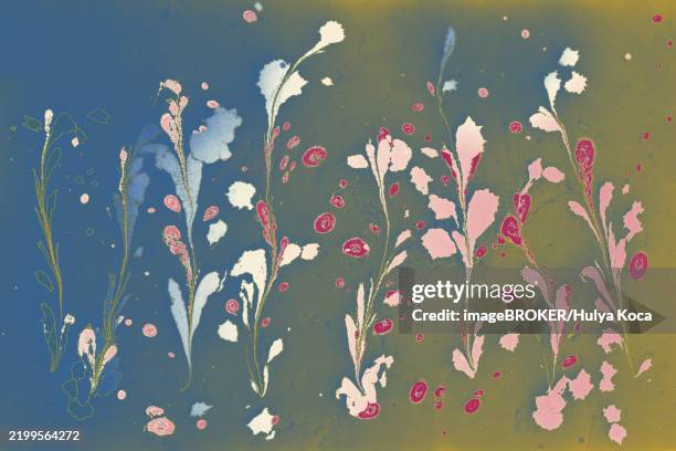 ebru marble conch effect surface pattern design for print - conch stock illustrations