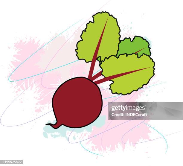 beetroot - beetroot salad stock illustrations