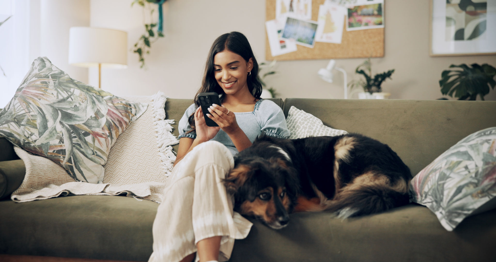 pet sitter search