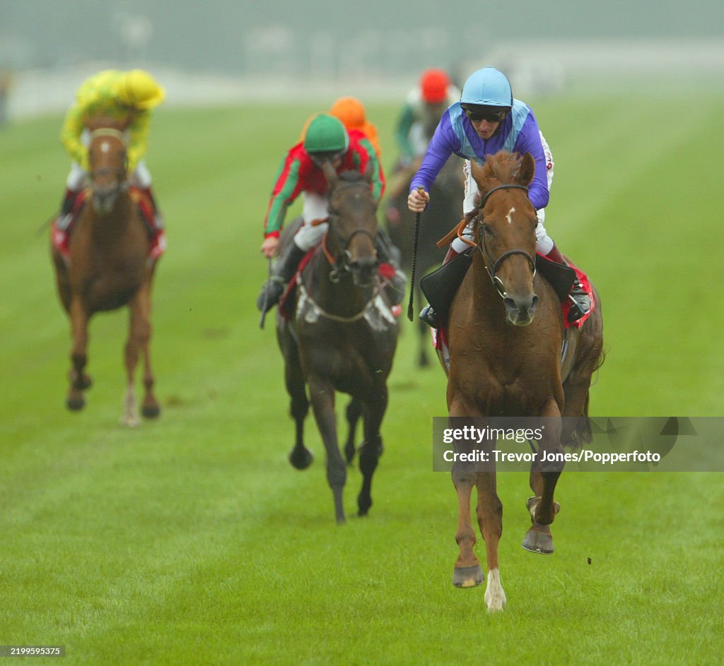 The Doncaster Cup At Doncaster
