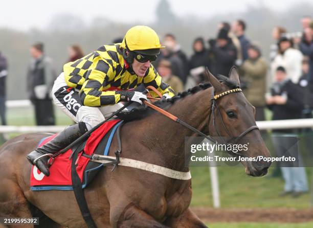 Jockey Tony McCoy riding Petit Robin winning the Jim Joel Memorial Trophy at Newbury, 29th November 2008.