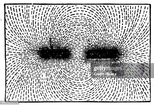 stockillustraties, clipart, cartoons en iconen met magnetic field lines - magnetisch veld