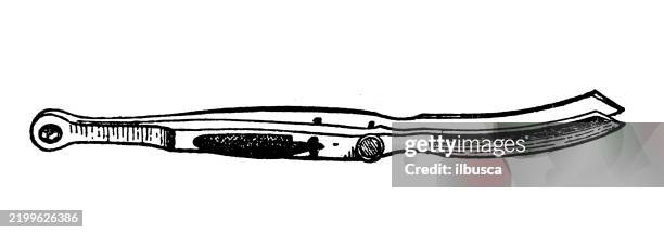 microtome - micro tome stock illustrations