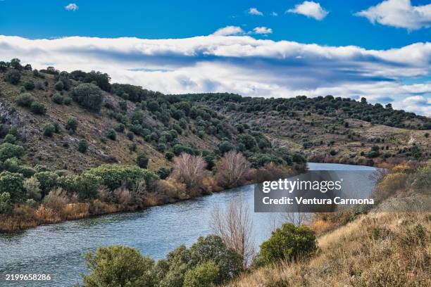 the duero river in soria, spain - margem do rio imagens e fotografias de stock