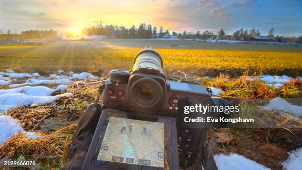 laying on the cold snowy ground shooting deers far ahead with my mirrorless camera - digital camera lens stock pictures, royalty-free photos & images