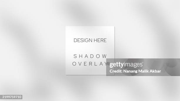 ilustraciones, imágenes clip art, dibujos animados e iconos de stock de plantilla de diseño de superposición de sombra de árbol y hoja. maqueta de efecto de superposición de sombras para plantilla de diseño. - superposición-de-sombras