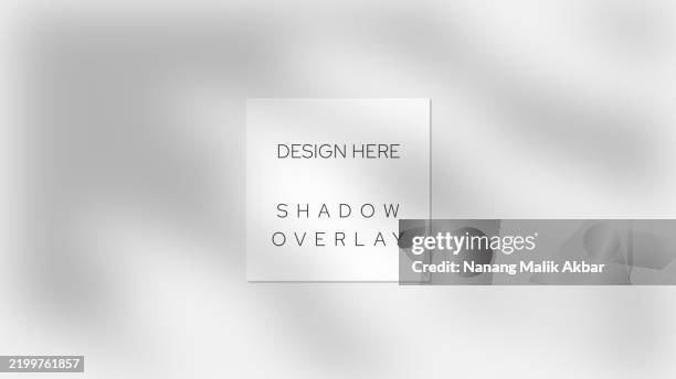 tree and leaf shadow overlay design template. shadow overlay effect mockup for design template. - tree shadow wall stock illustrations