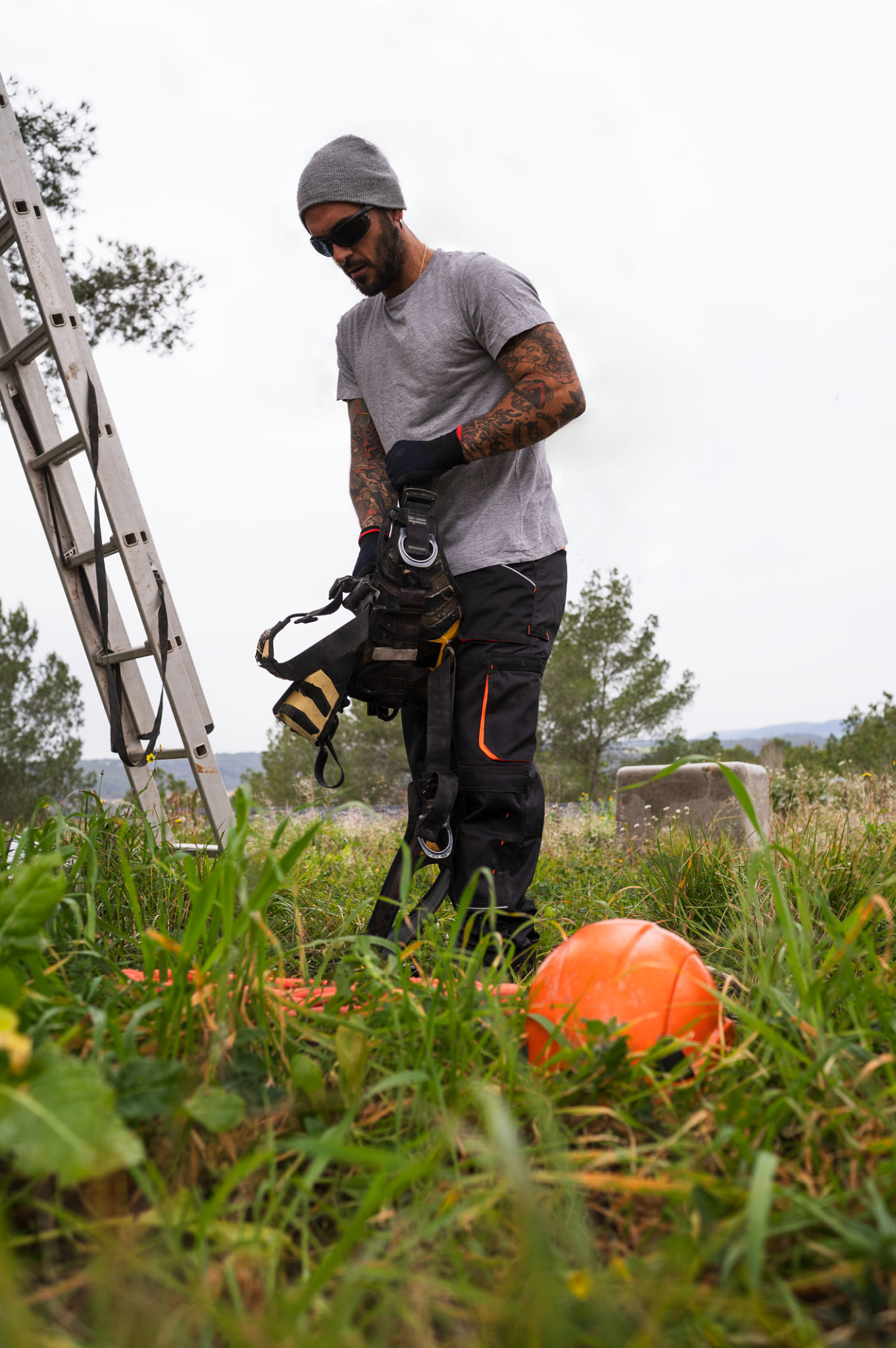 certified arborist