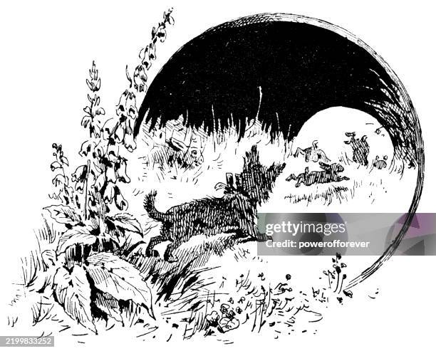 Dog Chasing Rabbit Drawing 16 Dog Chasing Rabbit High Res Illustrations - Getty Images