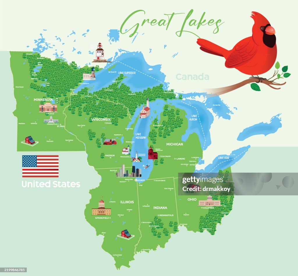 Great Lakes Forest Map and Cardinal Birds