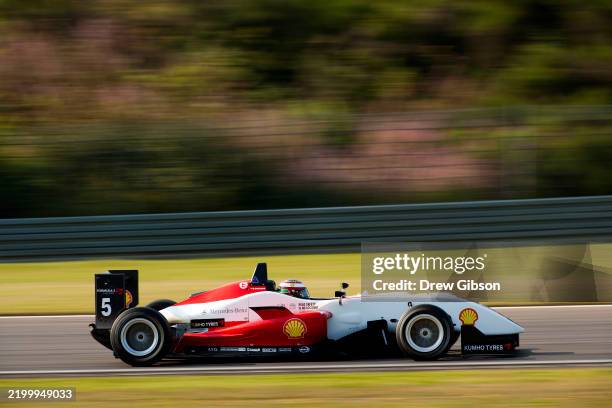 Formula Three - F3 Euro Series. Nurburgring, Germany. 14th - 16th August 2009. Basil Shaaban Action.