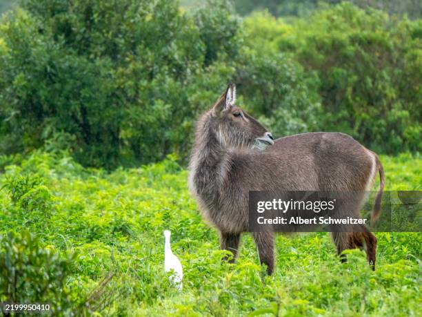  3 Days Budget safari Tarangire, Arusha & Lake Manyara