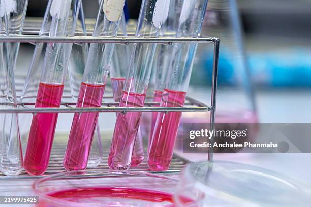 chemical reagent in test tube in laboratory - reagent stock pictures, royalty-free photos & images