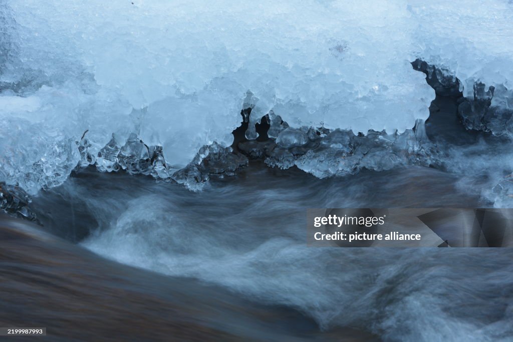 Melting snow in the Harz Mountains