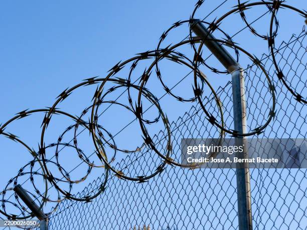 metal fence on a border with concertina wire and barbed wire. - staatsgrenze stock-fotos und bilder