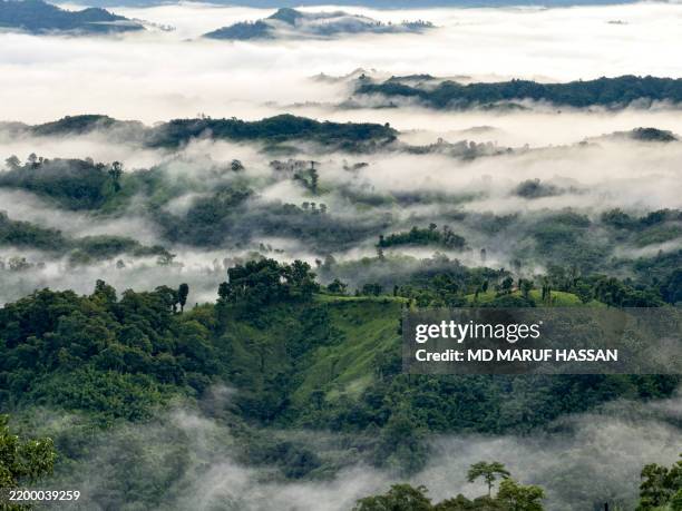 rolling green hills covered in mist at sajek valley, bangladesh - bangladesh stock pictures, royalty-free photos & images