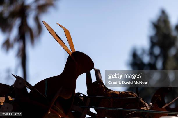 Burned Rabbit 5,925 Californian Rabbit Stock Photos, High-Res Pictures, and Images ...
