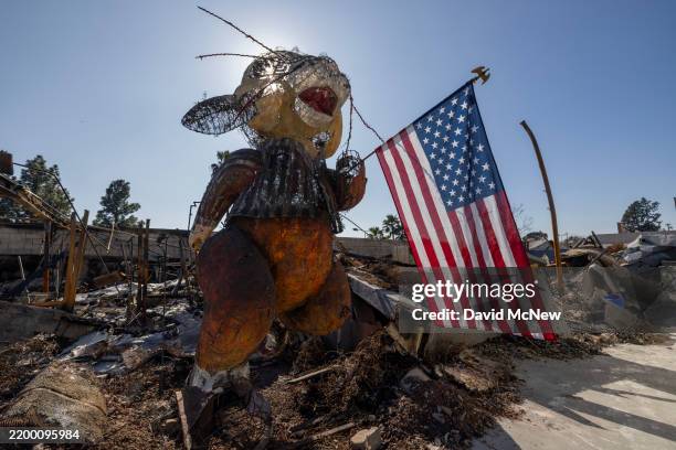Burned Rabbit 16 Topiary Rabbit Stock Photos, High-Res Pictures, and Images - Getty ...