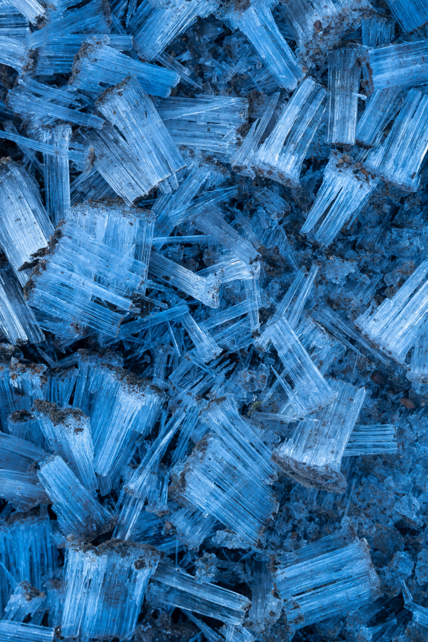 cold formed building