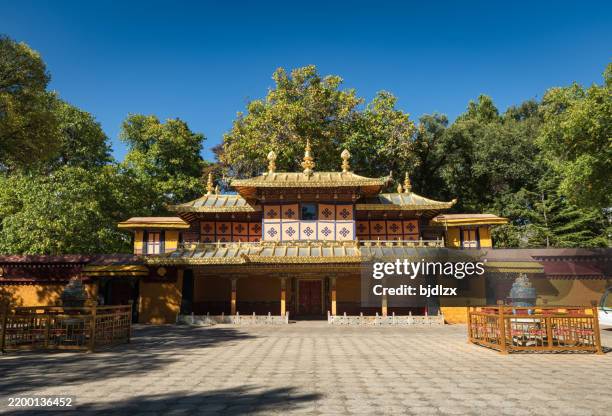 norbulingka - the summer palace - tibet stock pictures, royalty-free photos & images
