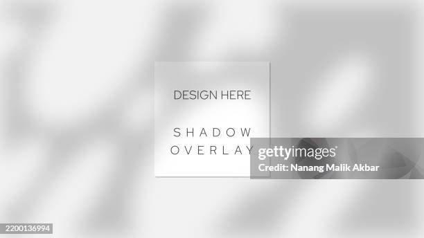 ilustraciones, imágenes clip art, dibujos animados e iconos de stock de plantilla de diseño de superposición de sombra de árbol y hoja. maqueta de efecto de superposición de sombras para plantilla de diseño. - superposición-de-sombras