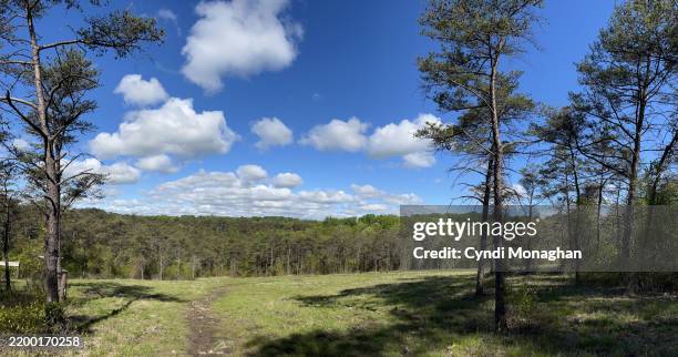 panoramic view of a meadow surrounded by forest at lake roland. puffy white clouds and bright blue sky. - puffy white clouds stock pictures, royalty-free photos & images